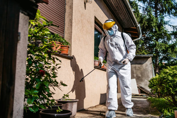 Best Emergency Pest Control  in Flowood, MS