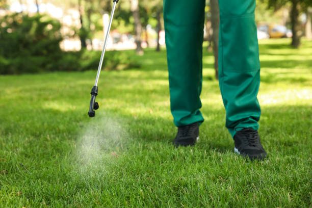 Best Pest Control Near Me in Flowood, MS