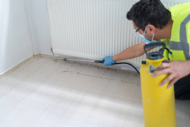 Best Pest Prevention Services  in Flowood, MS